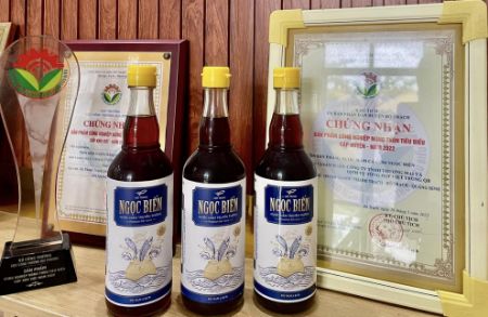 Picture for category FISH SAUCE (NGỌC BIỂN)