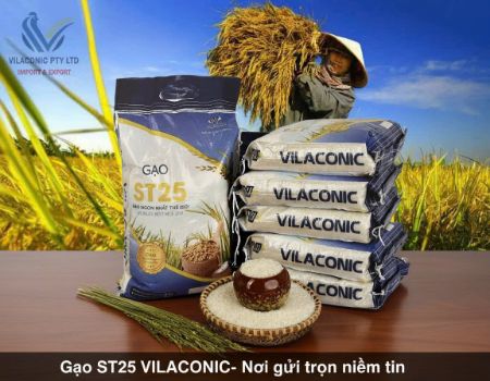 Picture for category ST25 VILACONIC