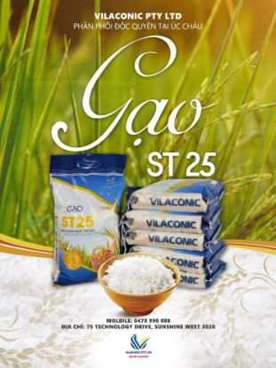 Picture of ST25 - 5KG