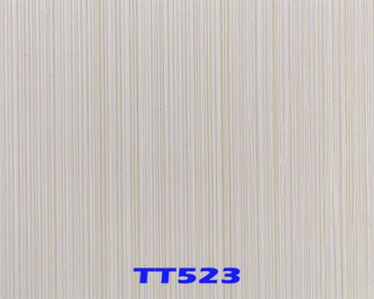 Picture of TT 523